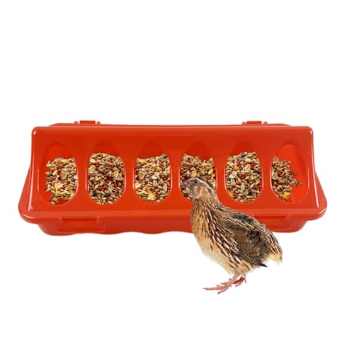 Geflügel-Futterstation für Hühnerstall, 30 x 10 x 6 cm, Schale mit Löchern, Bauernhofausrüstung, Futterschalen für Tauben, Wachteln, Vögel, Innen- und Außenbereich Geflügel-Futterstation für Hühnerstall, 30 x 10 x 6 cm, Schale mit Löchern, Bauernhofausrüstung, Futterschalen für Tauben, Wachteln, Vögel, Innen- und Außenbereich von Veasbuu