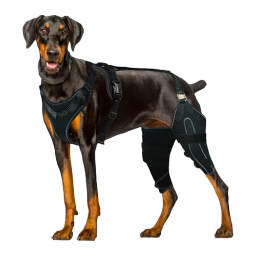 Veasbuu ACL-Kniebandage für Hunde, Rückenbeinstütze, verstellbare Hundebeinbandage, CCL Stützbandage, Hunde-Kniebandage zur Erholung, ACL-Unterstützung für Hunde, Kniebandage für große Hunde Veasbuu ACL-Kniebandage für Hunde, Rückenbeinstütze, verstellbare Hundebeinbandage, CCL Stützbandage, Hunde-Kniebandage zur Erholung, ACL-Unterstützung für Hunde, Kniebandage für große Hunde von Veasbuu