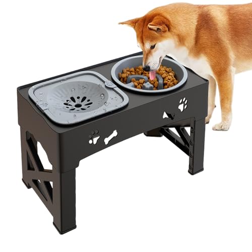 Wasserspender für Katzen, rutschfester Futternapf, 42 x 24 x 8 cm, Haustier-Bewässerungszubehör, robust und leicht zu reinigen, für kleine, mittelgroße Tiere, Kätzchen, Welpen Wasserspender für Katzen, rutschfester Futternapf, 42 x 24 x 8 cm, Haustier-Bewässerungszubehör, robust und leicht zu reinigen, für kleine, mittelgroße Tiere, Kätzchen, Welpen von Veasbuu