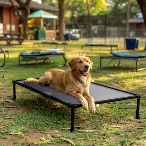 Veehoo Kaufestes, erhöhtes Hundebett, strapazierfähige, erhöhte Hundetrainingsplattform, Plattform-Hundebetten für große Hunde, erhöhtes Haustierbett-Trainingssystem für Platz, Beweglichkeit, drinnen von Veehoo