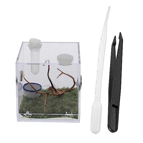 Veemoon 1 Set Aufzuchtdosen Für Springspinnen - Transparentes Acryl Terrarium Zubehör Für Fütterung Und Zucht Von Spinnen - Insekten Und Kleinen Käfern Ideal Für Die Haltung Und Pflege Von von Veemoon