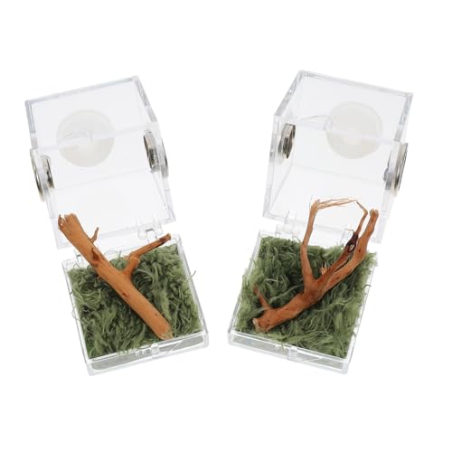 Veemoon Mini Spinnen Terrarium Set - 2 Stück Acryl Habitat Box Für Springspinnen Und Insektenzucht - Ideal Für Und Als Fütterungsbox Für Reptilien 16x16x16 cm von Veemoon