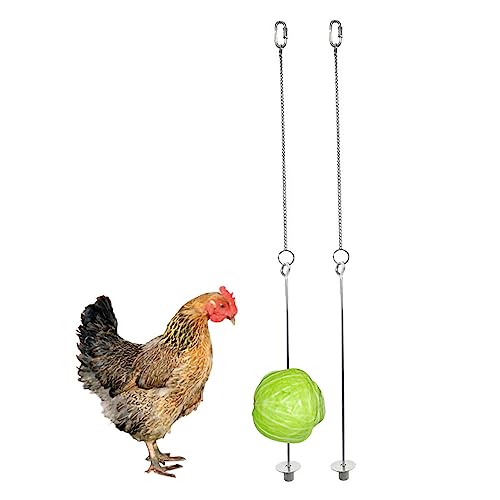 Veesper Hühnerspielzeug für Hühner Hühnchen Gemüse Spieß Edelstahl Haustier Hähnchenfrüchte Lebensmittelhalter Hanging Feeder Toy für Hühner Birds 2pcs von Veesper