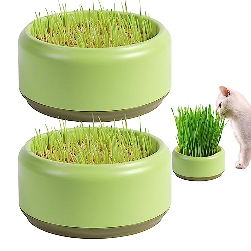 Veesper 2pcs Katzengrasbecher, praktischer runder Katzengras -Pflanzer 5,3 Zoll Bequeme Katzenschale Haushalt Katzengras Gärtner Samen Splett Katze Katze Gras Anbau Kit Kit von Veesper