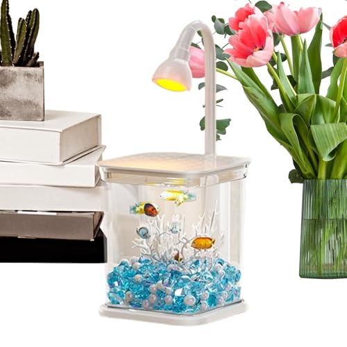 Kleines Kampffisch Aquarium - Mit Beleuchtung Und Filter Kampffisch Aquarium | Leise Klarwasser-Landschaft Deko Für Tisch Schreibtisch Home Office Kleines Kampffisch Aquarium - Mit Beleuchtung Und Filter Kampffisch Aquarium | Leise Klarwasser-Landschaft Deko Für Tisch Schreibtisch Home Office von Veeteah