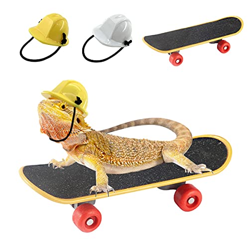 Vehomy Bartdrachen-Zubehör, kleiner Ingenieur-Hut für Bartdrache, Eidechse, Bauhelm, Hüte und Mini-Roller für Hamster, Eidechse, Papagei, Reptilien, Kleintiere, 3 Stück von Vehomy