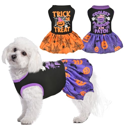 Vehomy Halloween-Kleid für Hunde, Halloween-Kleid mit Kürbis, Spinnennetz, Rock, Welpen, Halloween-Kleidung, Kostüm für kleine und mittelgroße Hunde, 2 Stück, Größe L von Vehomy