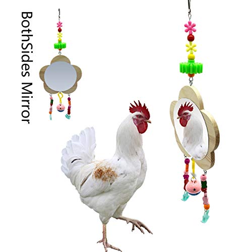 Vehomy Huhn Spielzeug für Hühner mit Spiegel Huhn Holz Spiegel Spielzeug mit Glocke für Küken Hühner Hahn von Vehomy