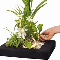 Velda Floating Plant Island eckig 35 cm von Velda