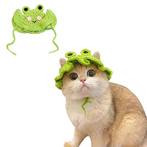 Halloween Kostüm für Katzen Frosch Form Haustier Kappe Kätzchen Halloween Kostüme Katzen Halloween Outfit für Weihnachten Geburtstag von Verceco