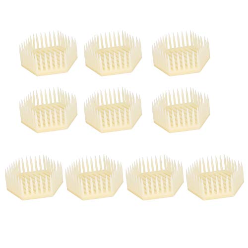 Imker Werkzeuge 10Pcs Sechseckige Form Königin Käfig Imker Werkzeug Imkerei Ausrüstung Bienenzucht Zubehör von Verdant Touch