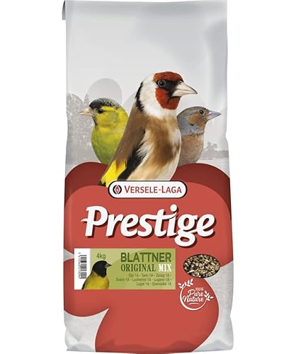 Blattner Prestige Kaffeekanne für Tarins von Versele-Laga