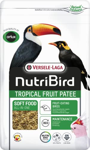 Nutribird Tropical Fruit Patee Vogelfutter von Versele-laga