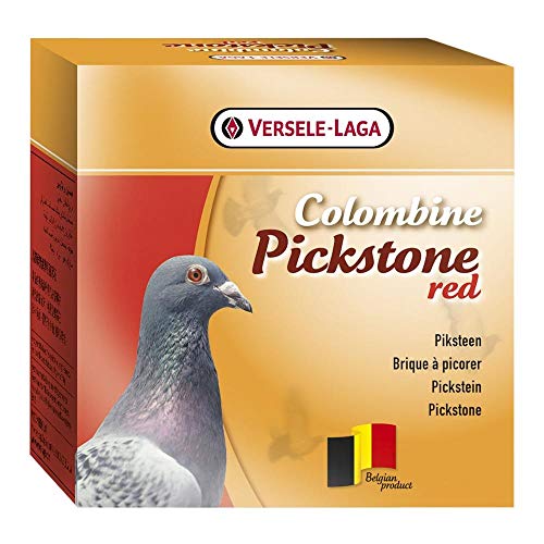 Versele Laga Akelei Columbine rot pickstone Katzentoilette of 6 von Versele-Laga