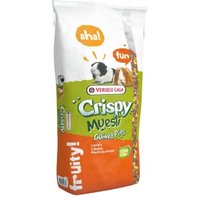 Versele-Laga Crispy Muesli Guinea Pigs 20 kg von Versele-Laga