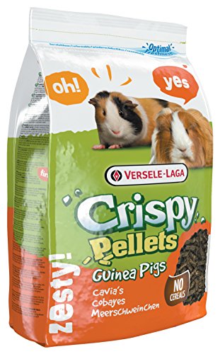 Versele Laga Meerschweinchenfutter Crispy Pellets 2 kg, 2er Pack (2 x 2 kg) von Versele-Laga