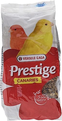 Versele Laga Vogelfutter für Kanarien Sport 1 kg, 3er Pack (3 x 1 kg) von Versele Laga