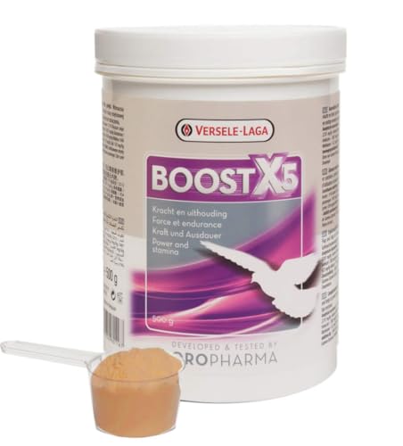 Boost X5 von Versele-Laga