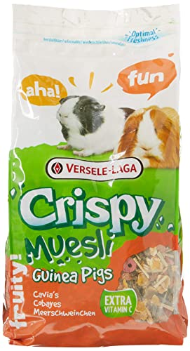 Crispy Müsli für Kleintiere, Meerschweinchen von Versele-Laga