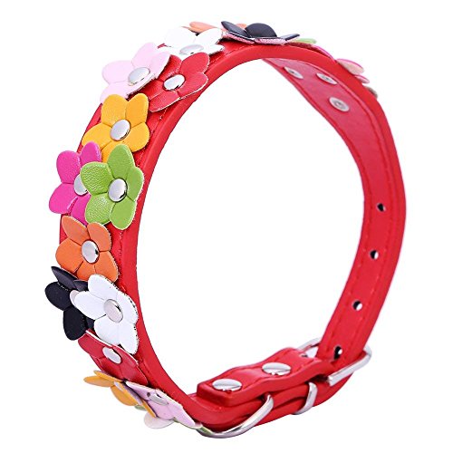 Vesdrtyr Hundehalsband aus weichem PU-Leder, mit Blumenmuster, gepolstert, Rot, Größe S von Vesdrtyr