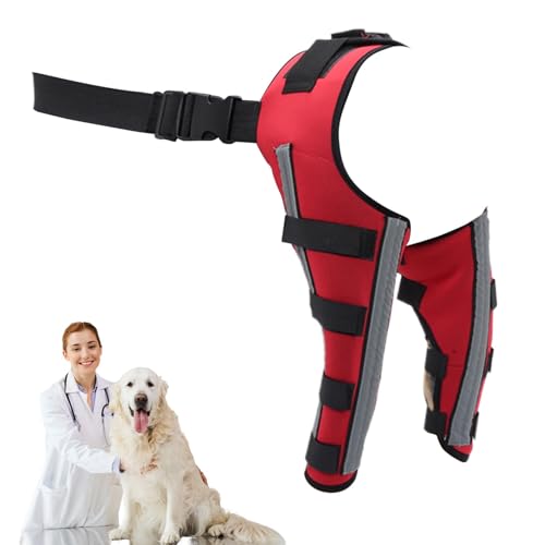 Vesidoloy Hundebechklammer, Hundeknieklammer - Pet Joint Hip Support Brace,Tragen Sie resistente Hundehockgelenkunterstützung für kleine Tiere Haustiere von Vesidoloy