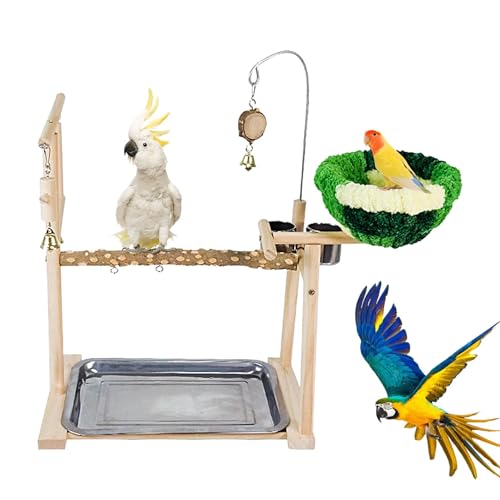 Vogel Spielplatz, Papageien Spielständer Aus, Parrot Playstand, Naturholz Vogel Ständer Gym Ständer Mit Sitzstange, Gym Vogelständer, Vogelkäfig Spielplatz Für Kleine Mittel Vögel von Vesone