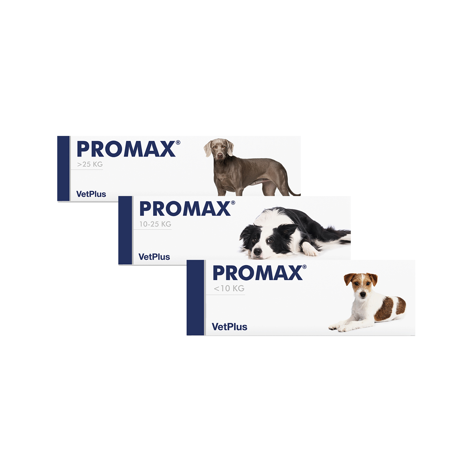 Vetplus Promax - Medium Breed - 18 ml von VetPlus