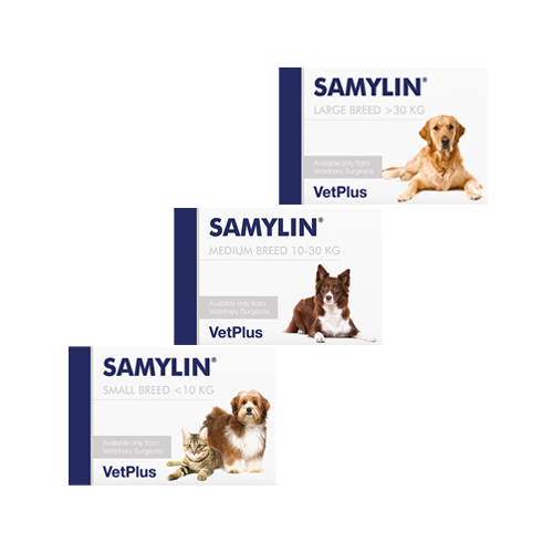 Vetplus Samylin Tabletten - Große Hund - 30 Tabletten von VetPlus