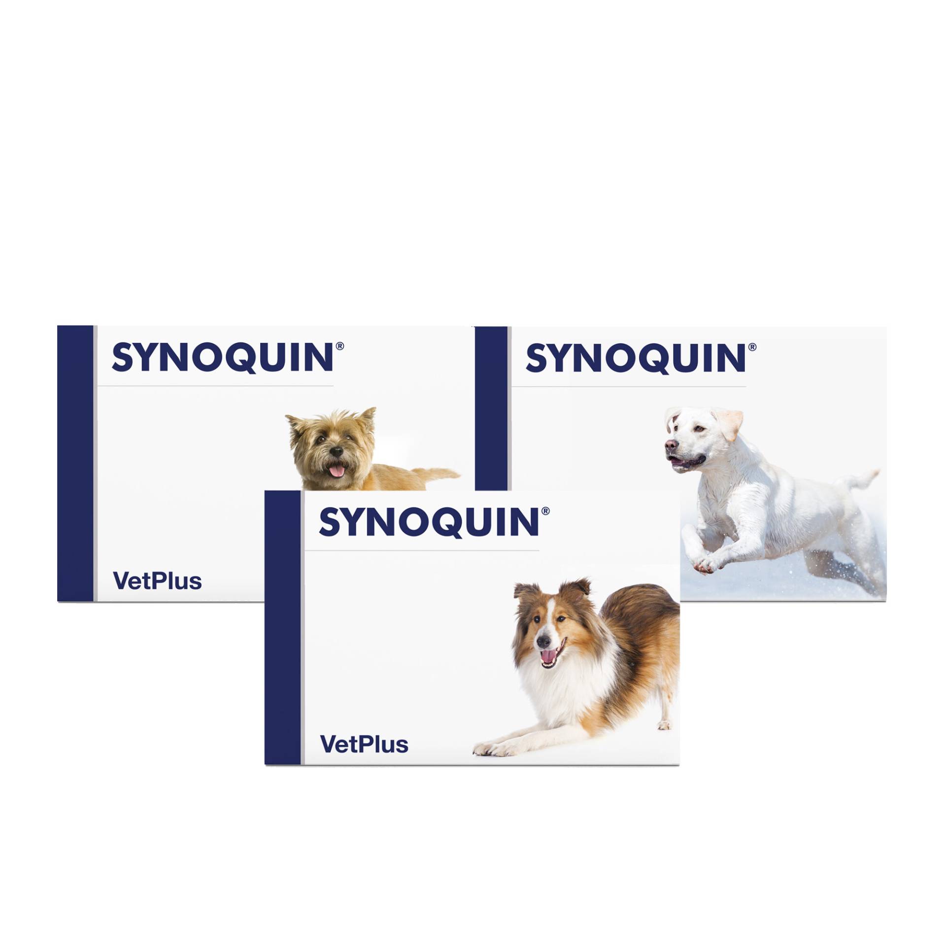 Vetplus Synoquin 120 Tabletten - großer Hund - 120 Tabletten von VetPlus