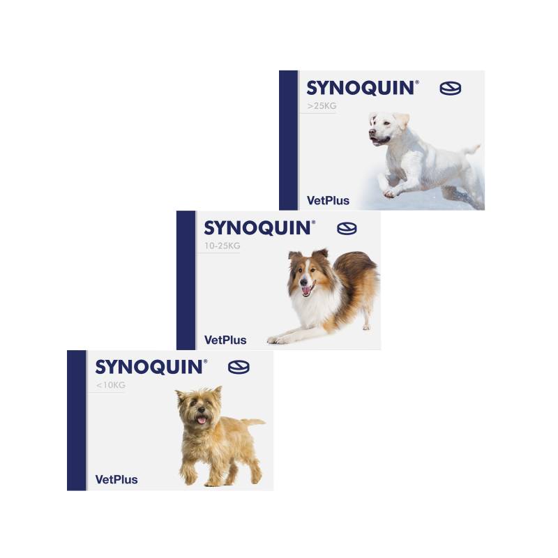 Vetplus Synoquin 120 Tabletten - großer Hund - 120 Tabletten von VetPlus