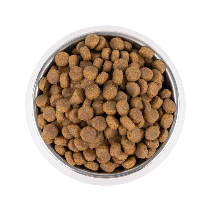 Vetality Adult Maxi Dog - 2 x 3 kg von Vetality