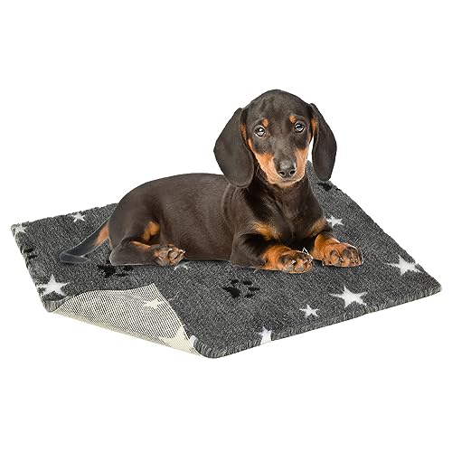 Vetbed Petlife Hundebett, rutschfest, für kleine Hunde, Dunkelgrau mit Sternen, 75 cm x 50 cm, maschinenwaschbar, warmes Hunde- und Welpenbett, ideal zum Welfen, antiallergen, ungiftig von Vetbed