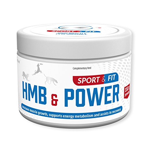 Vetfood HMB & Power | Bei Stress | Regeneration | Für Sporthunde und Arbeitshunde | Für Hunde & Katzen | 150 g von Vetfood