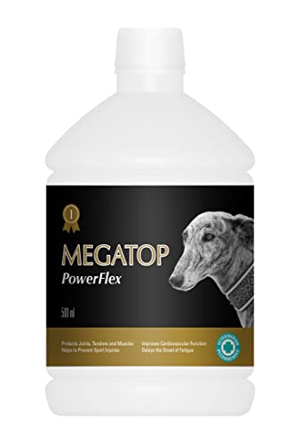 MEGATOP® Recover 500 ml von VETNOVA