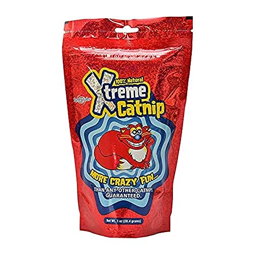 X-Treme Catnip -14,2 gr von Vetnova