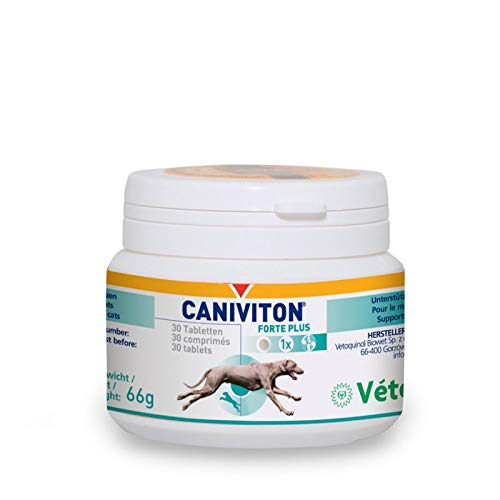 Vetoquinol - Caniviton Forte Plus Ergänzungsfuttermittel für Hunde und Katzen 30 Tabletten, 1er Pack (1 x 0.09 kilograms) von Vetoquinol - Caniviton