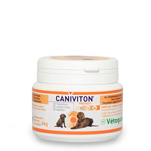 Vetoquinol - Caniviton Protect Ergänzungsfuttermittel für Hunde und Katzen 30 Tabletten, 1er Pack (1 x 0.09 kilograms) von Caniviton