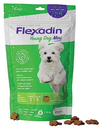 Vetoquinol Flexadin Young Dog Mini - Ergänzungsfuttermittel für Welpen von kleinen Hunden, zur Unterstützung des Gelenkstoffwechsels - Appetibili -, 120 Tabletten - 180 g von Vetoquinol