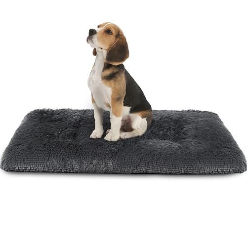 Hundekäfig Pad Ultra Soft Dog Bed Mat Washable Pet Zwinger Bed with Non-Slip Bottom Fluffy Plush Sleeping Mat for Large Medium Small Dogs, 35 x 22 Inch von Vfrog