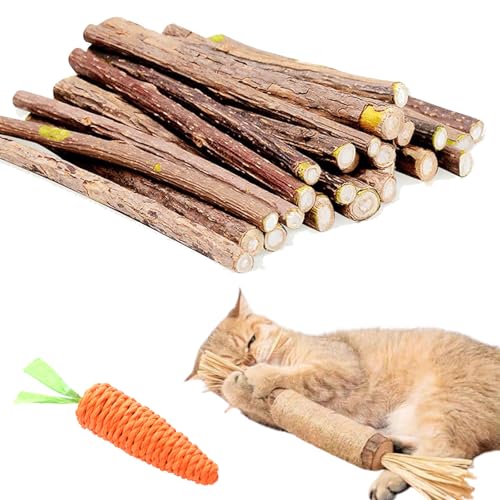 Vgpbphj Nylatails Silvervine Dental Stick, natürliche Silvervine Sticks für Katzen, Kaustab für Katzen, Kauspielzeug für Kätzchen, Zahnreinigung, Appetit, beruhigt Angst und Stress (C-10 Stück) von Vgpbphj