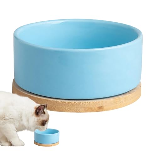 Blue Beheizter Wassernapf Für Hunde USB-beheizter Futternapf Thermostatisch Beheizter Trinknapf Thermo-Wassernapf Für Hunde Selbstwärmender Haustier-Wasserspender 5.7x12.2x12.2 cm von Vgvgaj