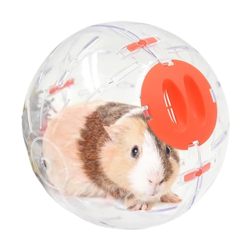 Hamsterball, Hamsterrad - Transparentes Hamsterspielzeug | Nettes kleines Haustierzubehör mit Lüftungsloch für Guinea -Mäuse Chinchilla Gerbil Ferret Home Hamsterball, Hamsterrad - Transparentes Hamsterspielzeug | Nettes kleines Haustierzubehör mit Lüftungsloch für Guinea -Mäuse Chinchilla Gerbil Ferret Home von Vgvgaj