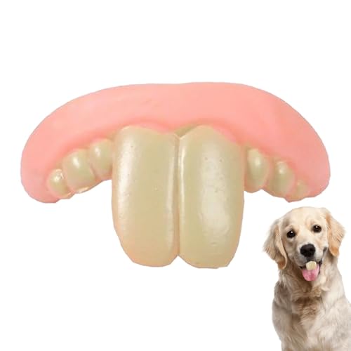 Kaninchenzähne 5 Stuck Generisch Fake Dog Teeth Lustige Zahnspangen Für Hunde Generisch Zahnersatz Für Hunde SilikonHumorvolle Zahnspangen Für Hunde Für Hunde, Kreativ, Humorvoll, Langlebig, Reißfest von Vgvgaj