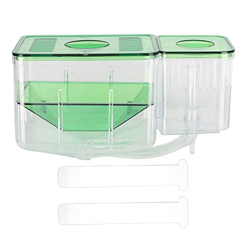 Fischzuchtbox, transparentes Aquarium Little Fish Breeding Hatching Box Fischtanks Doppelschicht-Isolationsinkubator für verletzte kleine FischgarnelenZuchttanks von ViaGasaFamido