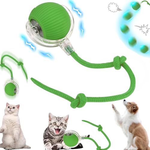 Vibbang Interaktives Katzenball Spielzeug, Hundespielzeug Elektrisch, Chewy Viral Rolling Ball, Intelligenz Katzensprint Spielzeug, 360° Automatisch Rolling Smart Toy Ball Für Katzen Hunde(B) von Vibbang