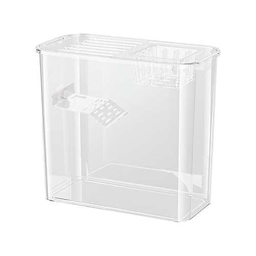 Aquatic Turtle Tank | Multifunktionales Aquarium für Schildkröten – Schildkrötenbecken mit Klettergerüst, transparente Aquarien zum Anheben von Wasser und Landschildkröte von Vibhgtf