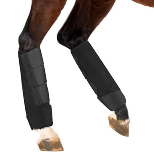 Sportstiefel für pferdes – Neopren Schutzgamaschen, Reitzubehör | Stoßdämpfendes Stallset, Trainingsstütze, Komfort Wraps, Wettbewerbszubehör, Reitbedarf, Ausrüstungsunterstützung, Reiseartikel Sportstiefel für pferdes – Neopren Schutzgamaschen, Reitzubehör | Stoßdämpfendes Stallset, Trainingsstütze, Komfort Wraps, Wettbewerbszubehör, Reitbedarf, Ausrüstungsunterstützung, Reiseartikel von Vibhgtf