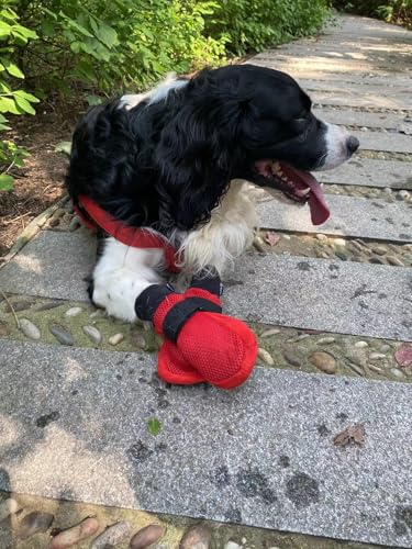 Vibrant Fellow Paw Protector Hundestiefel, atmungsaktiv, schützend und rutschfest, 4 Stück, Farbe: Rot, Größe M von Vibrant Fellow