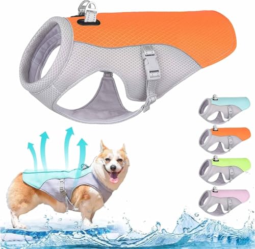 Kühlweste for Hunde, Sommerkühlweste for kleine und mittelgroße Hunde, reflektierende, atmungsaktive Netzgeschirr-Kühljacke for Outdoor-Aktivitäten, Wandern, Training(Orange,3XL) von Vimlo