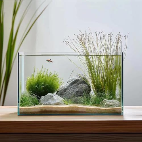 1,9 l Glas-Fischtank, leicht zu pflegen, kleines Aquarium für Betta/Goldfisch/Schnecken/Garnelen und Wasserpflanzung. von Vimvins